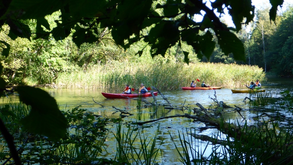 Spływ kajakowy na trasie Krutyń - Ukta. Rezerwat Krutynia Górna Spływ kajakowy na trasie Krutyń - Ukta. Rezerwat Krutynia Górna