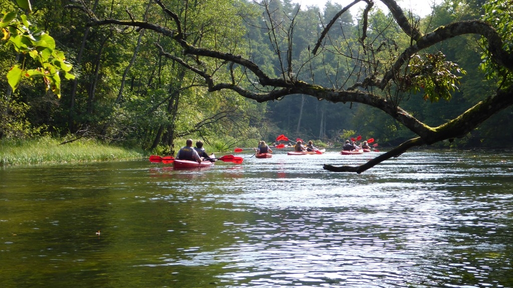 Spływ kajakowy na trasie Krutyń - Nowy Most. Krutynia Górna Spływ kajakowy na trasie Krutyń - Nowy Most. Krutynia Górna