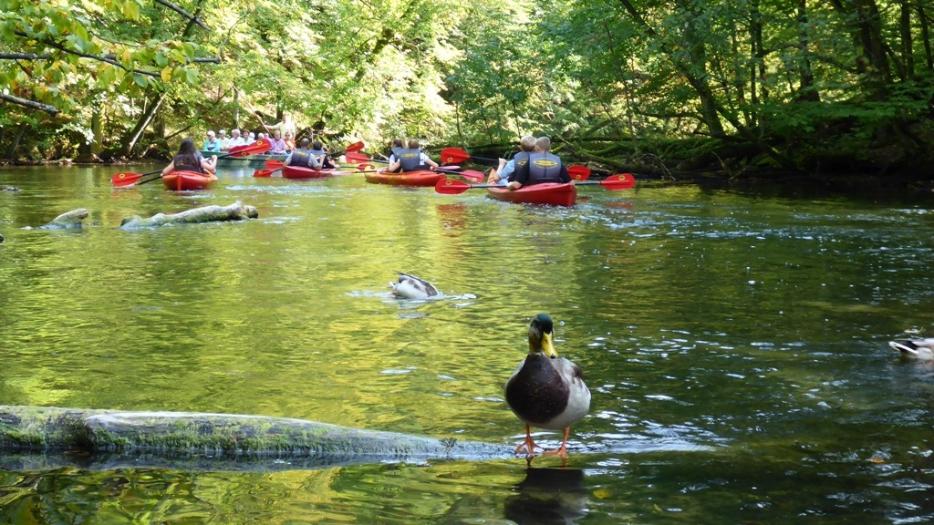 Spływ kajakowy na trasie Krutyń - Iznota. Rezerwat Krutynia Górna Spływ kajakowy na trasie Krutyń - Iznota. Rezerwat Krutynia Górna