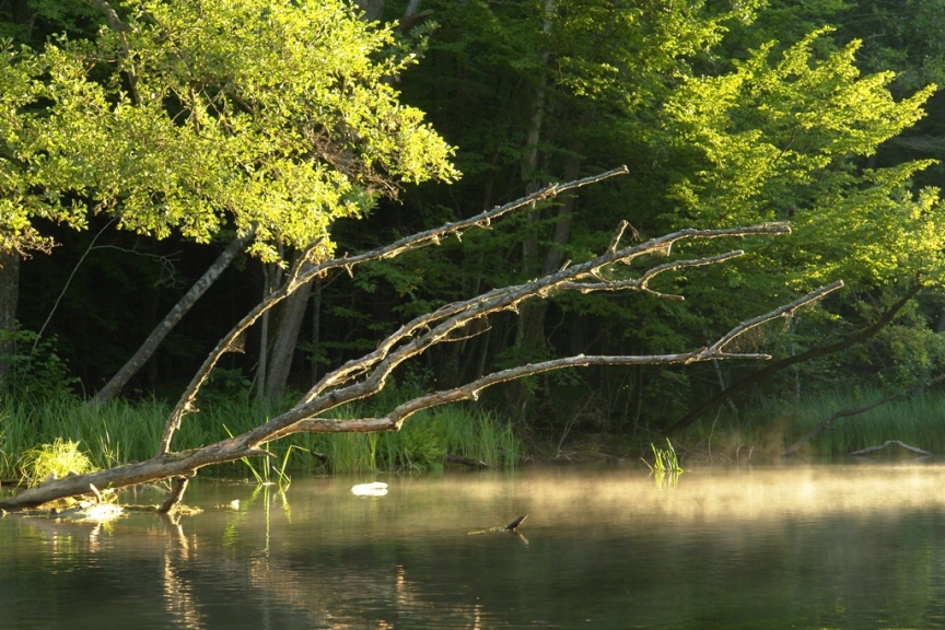 Szlak rzeki Krutyni o poranku Szlak rzeki Krutyni o poranku