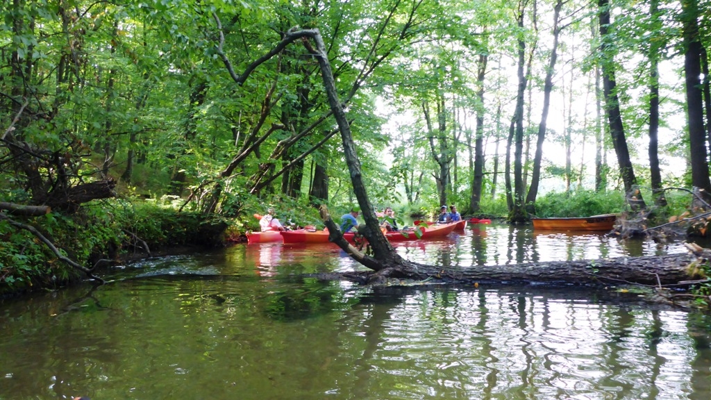 Spływ kajakowy jednodnoiwy szlakiem rzeki Dajna Spływ kajakowy jednodnoiwy szlakiem rzeki Dajna