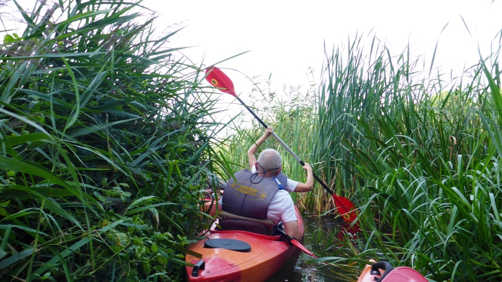 Spływ kajakowy szlakiem Dajny Spływ kajakowy szlakiem Dajny