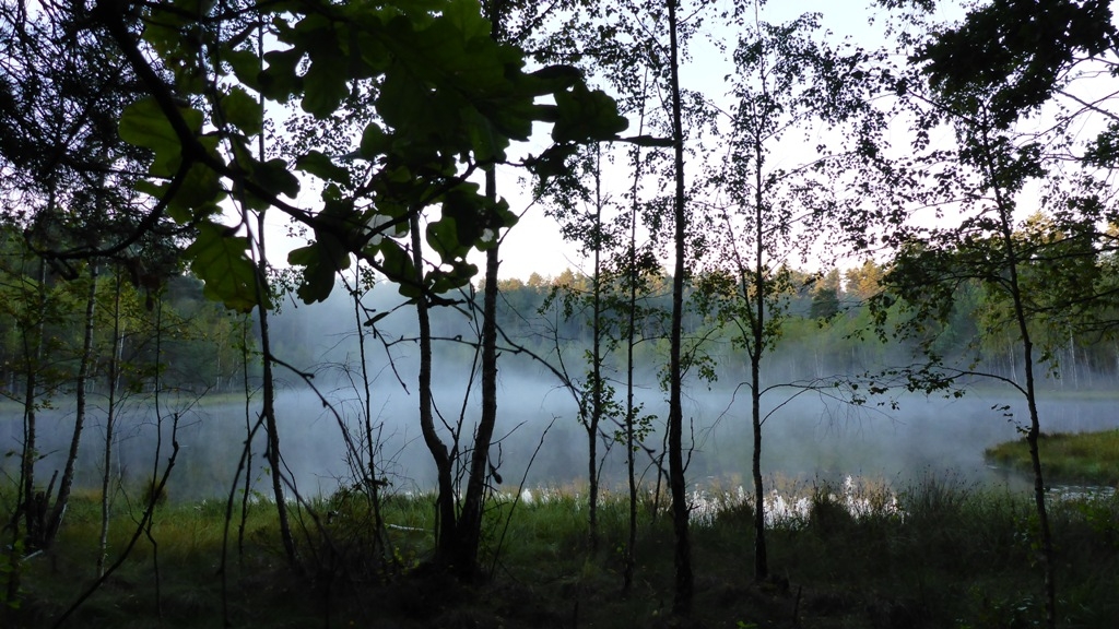 Mgiełka nad jeziorkiem w Rezerwacie Zakręt