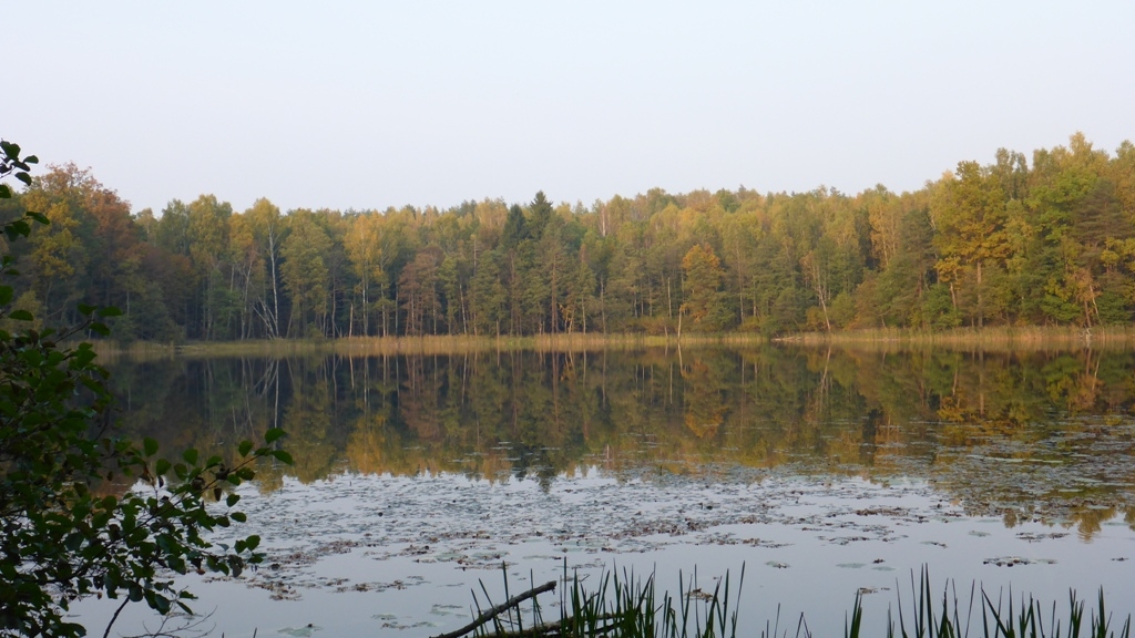 Spływ jednodniowy na trasie z Cierzpięt do Krutyni - Rezerwat Krutynia Górna Spływ jednodniowy na trasie z Cierzpięt do Krutyni - Rezerwat Krutynia Górna