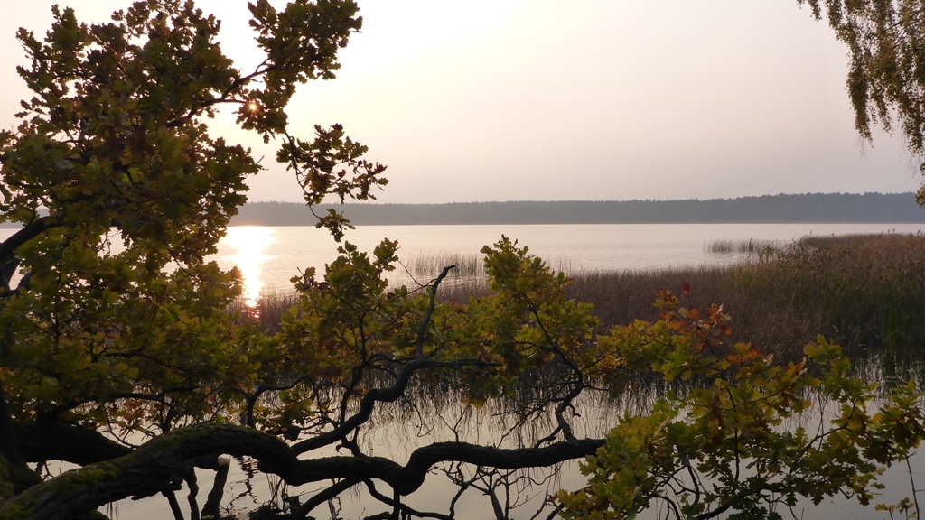 Spływ kajakowy na trasie z Cierzpięt do Krutyni - Jezioro Mokre Spływ kajakowy na trasie z Cierzpięt do Krutyni - Jezioro Mokre