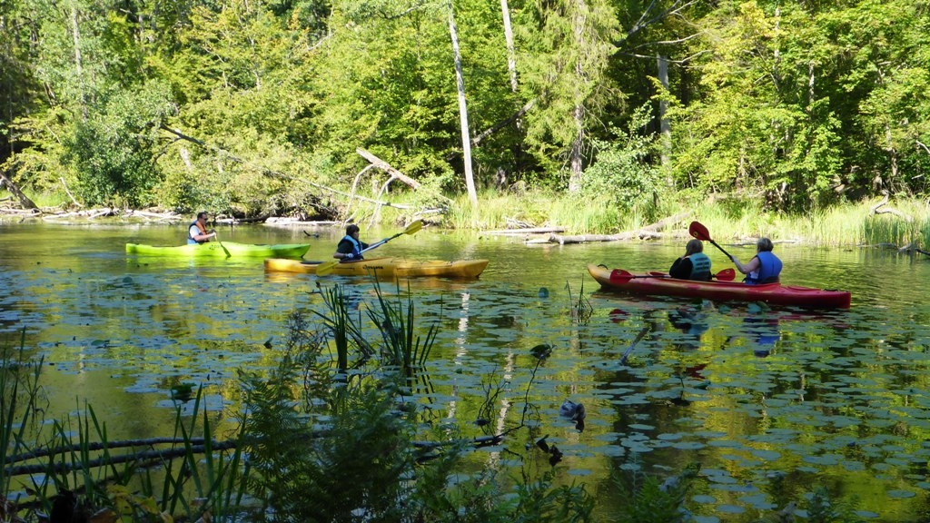 Spływ jednodniowy na trasie z Cierzpięt do Krutyni - Rezerwat Krutynia Górna Spływ jednodniowy na trasie z Cierzpięt do Krutyni - Rezerwat Krutynia Górna