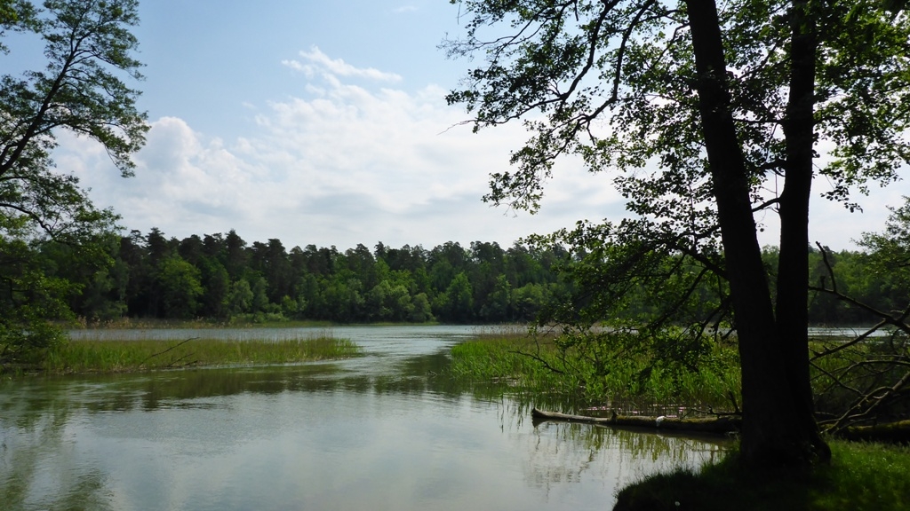 Spływ kajakowy na trasie z Cierzpięt do Młyna - przesmyk prowadzący ze śluzy do rezerwatu Jezioro Krutyńskie