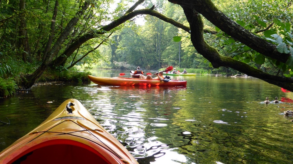 Spływ jednodniowy na trasie z Cierzpięt do Młyna - Rezerwat Krutynia Górna Spływ jednodniowy na trasie z Cierzpięt do Młyna - Rezerwat Krutynia Górna