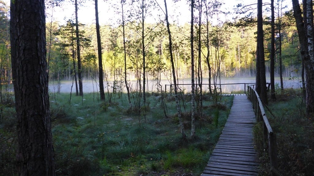 Krutyń - Rezerwat Zakręt Krutyń - Rezerwat Zakręt