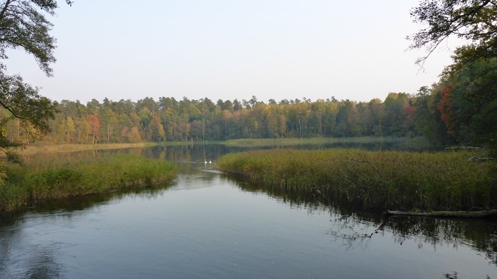 Spływ jednodniowy na trasie z Cierzpięt do Rosochy Spływ jednodniowy na trasie z Cierzpięt do Rosochy
