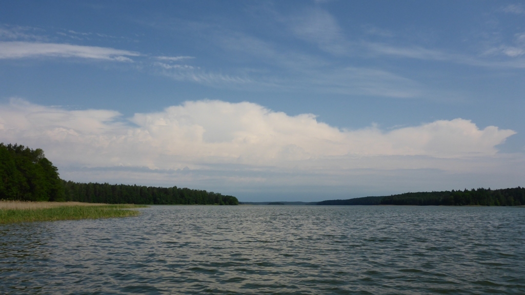 Spływ jednodniowy na trasie z Cierzpięt do Rosochy - jezioro Mokre