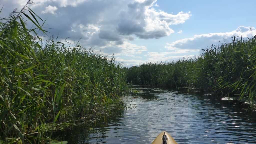 Spływ kajakowy na trasie z Cierzpięt do Ukty - kanałek prowadzący do jeziora Duś Spływ kajakowy na trasie z Cierzpięt do Ukty - kanałek prowadzący do jeziora Duś