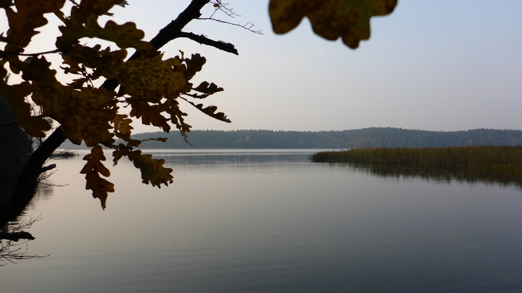 Spływ kajakowy na trasie z Cierzpięt do Ukty - jezioro Mokre
