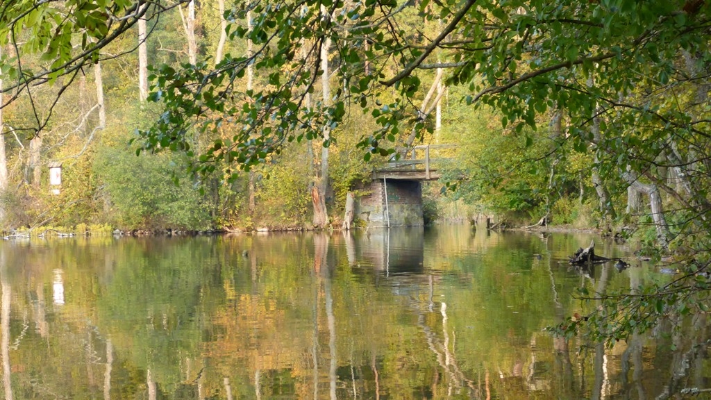 Splyw jednodniowy na trasie Cierzpięta - Ukta Splyw jednodniowy na trasie Cierzpięta - Ukta