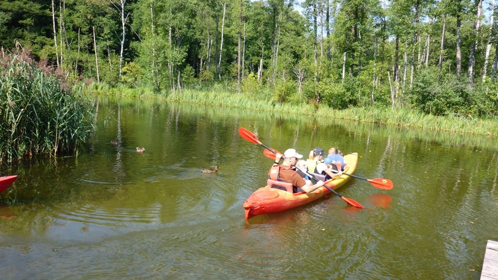 Spływ kajakowy z dziećmi szlakiem rzeki Krutyni Spływ kajakowy z dziećmi szlakiem rzeki Krutyni