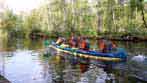 Kanadyjka ( Canoe ) czteroosobowa