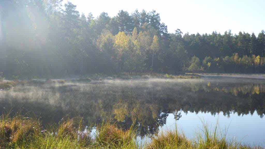 Rezerwat Zakręt - jeziorko dystroficzne Rezerwat Zakręt - jeziorko dystroficzne