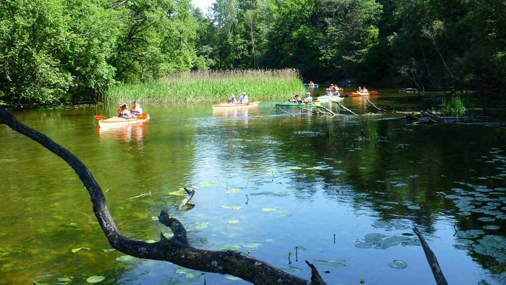 Spływ kajakowy na górnym odcinku rzekiKrutyni Spływ kajakowy na górnym odcinku rzekiKrutyni