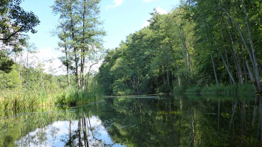Spływ kajakowy jednodniowy szlakiem Krutyni - Babięcka Struga Spływ kajakowy jednodniowy szlakiem Krutyni - Babięcka Struga
