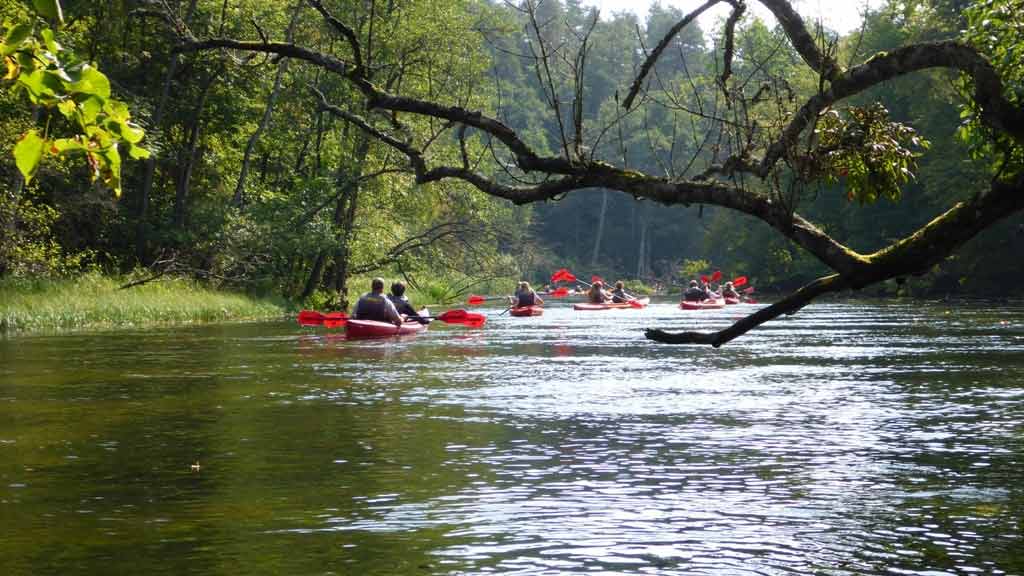 Spływ kajakowy szlakiem Krutyni na odcinku rezerwat Jezioro Krutyńskie - Rosocha Spływ kajakowy szlakiem Krutyni na odcinku rezerwat Jezioro Krutyńskie - Rosocha