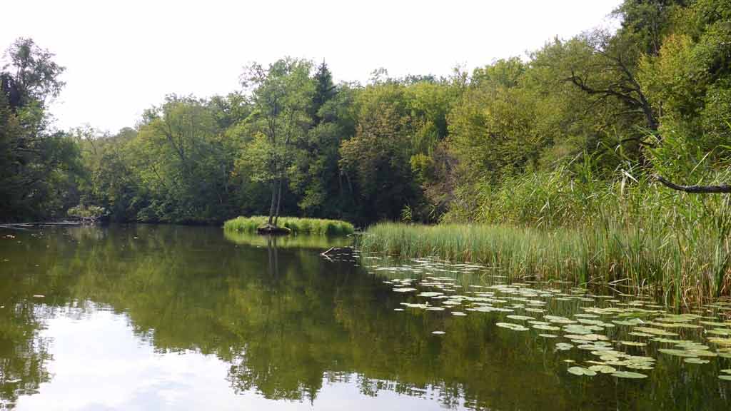 Szlak kajakowy rzeka Krutynia Szlak kajakowy rzeka Krutynia
