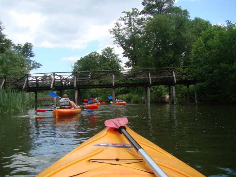 Spływ kajakowy jednodniowy Krutynią - Spychowska Struga Spływ kajakowy jednodniowy Krutynią - Spychowska Struga