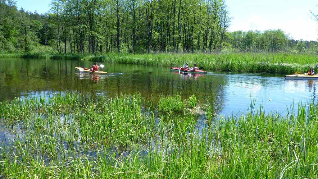 Spływ jednodniowy rzeką Krutynią - odcinek Ukta - Nowy Most Spływ jednodniowy rzeką Krutynią - odcinek Ukta - Nowy Most