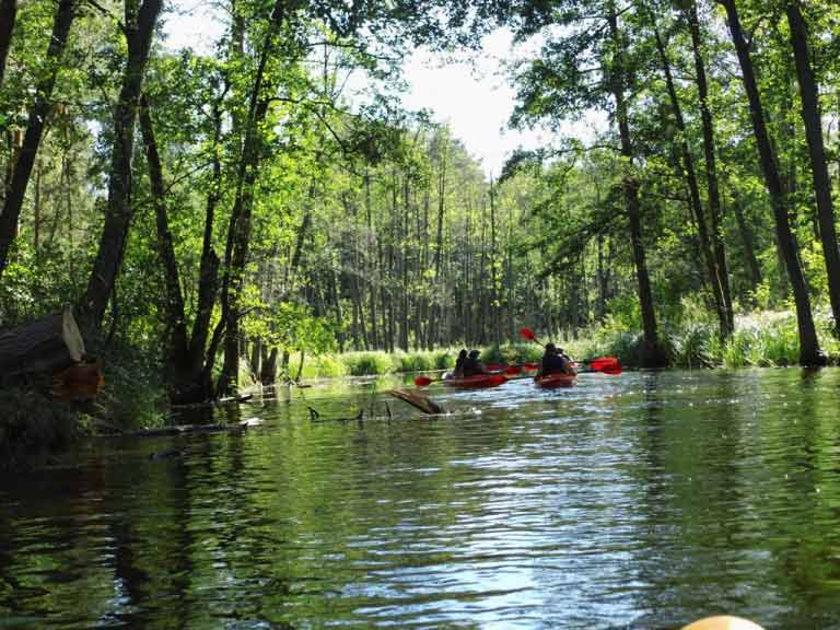 Spływ jednodniowy Krutynią na trasie Babieta-Spychowo - Babięcka Struga Spływ jednodniowy Krutynią na trasie Babieta-Spychowo - Babięcka Struga