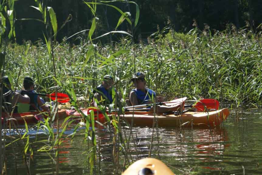 Spływ jednodniowy szlakiem Krutyni na trasie Bieńki - Babięta Spływ jednodniowy szlakiem Krutyni na trasie Bieńki - Babięta