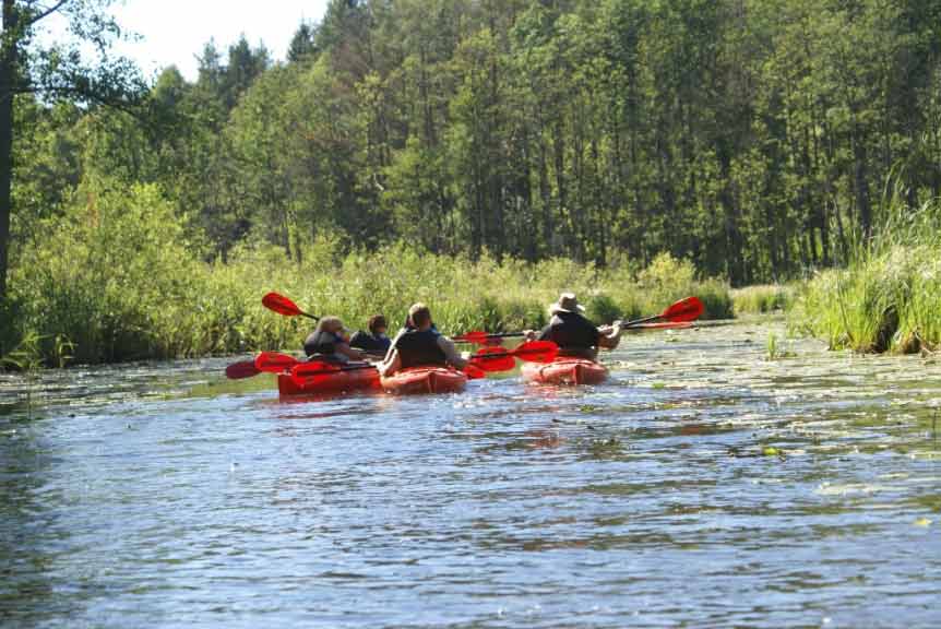Spływ jednodniowy rzeką Krutynią na trasie Sorkwity - Babięta - rzeka Dąbrówka Spływ jednodniowy rzeką Krutynią na trasie Sorkwity - Babięta - rzeka Dąbrówka