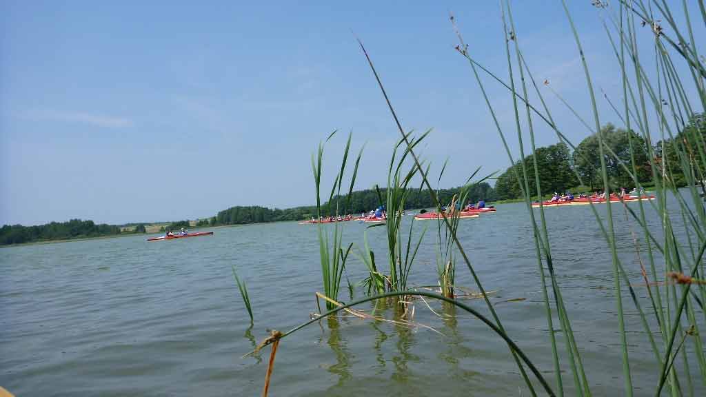 Spływ jednodniowy rzeką Krutynią na trasie Sorkwity - Babięta - Jezioro Dlużec