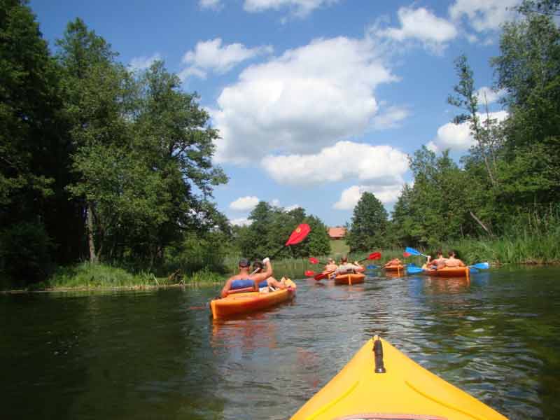 Spływ jednodniowyna trasie Spchowo - Krutyń - rzeka w okolicy wsi Koczek Spływ jednodniowyna trasie Spchowo - Krutyń - rzeka w okolicy wsi Koczek