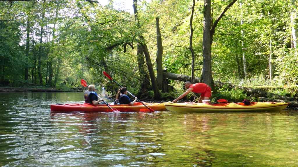 Turystyka Kajakowa Wodniak - grupa szkolna z asekuracją ratowniczą na spływie rzeką Krutynią Turystyka Kajakowa Wodniak - grupa szkolna z asekuracją ratowniczą na spływie rzeką Krutynią