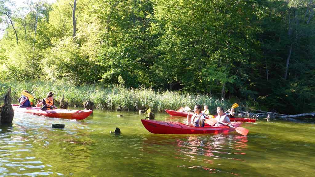 Wypożyczalnia kajaków Wodniak - grupa szkolna na spływie kajakowym na rzece Krutyni Wypożyczalnia kajaków Wodniak - grupa szkolna na spływie kajakowym na rzece Krutyni