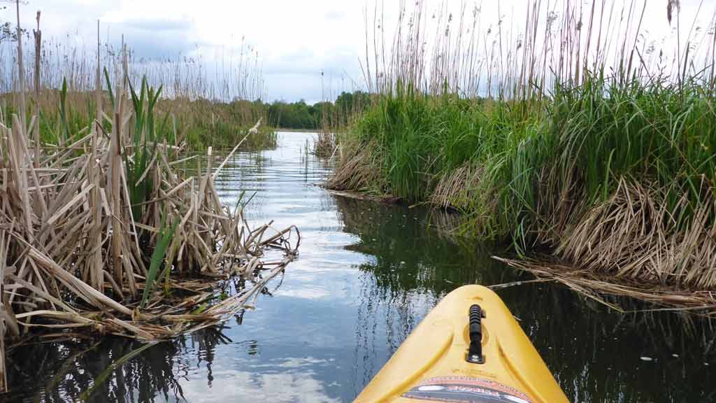 Spływ kajakowy szlakiem rzeki Dajna Spływ kajakowy szlakiem rzeki Dajna