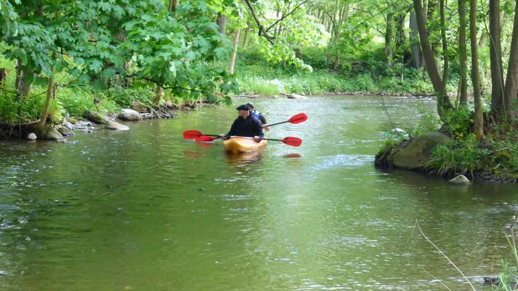 Spływ kajakowy szlakiem Dajny Spływ kajakowy szlakiem Dajny