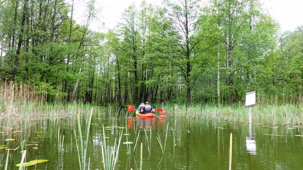 Spływ kajakowy szlakiem rzeki Dajny - wypływ z Jeziora Wierzbowskiego