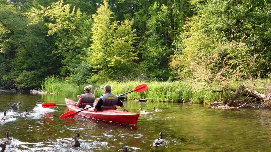 Spływ kajakowy rzeką Krutynią Spływ kajakowy rzeką Krutynią