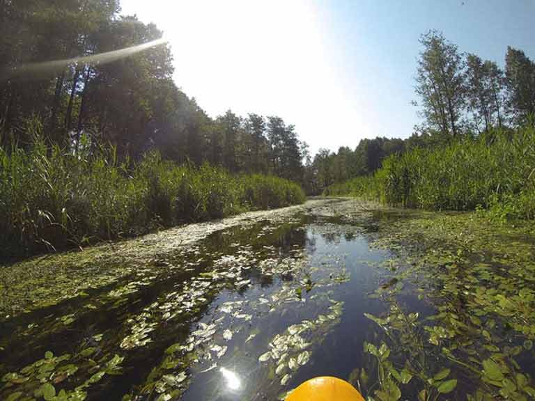 Na trasie splywu kajakowego szlakiem Łaźnej Strugi Na trasie splywu kajakowego szlakiem Łaźnej Strugi