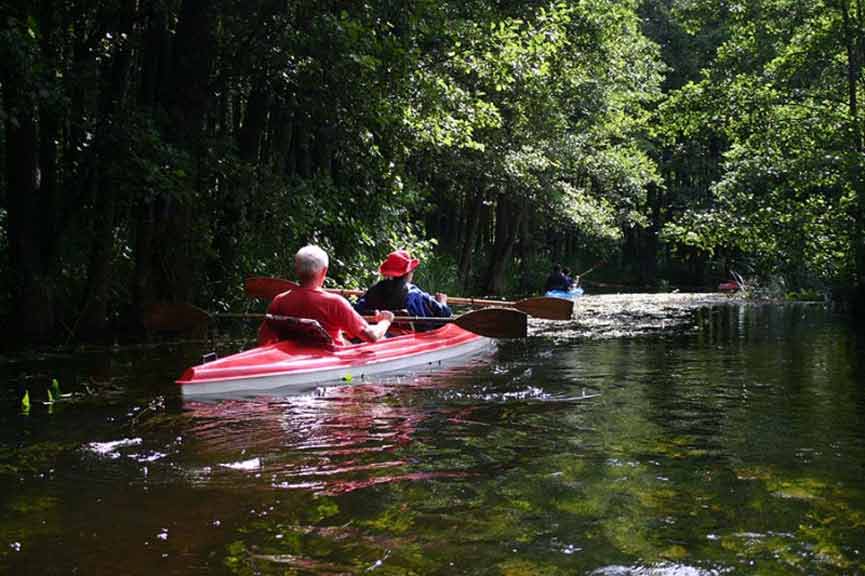Splyw kajakowy na szlaku rzeki Łaźna Struga Splyw kajakowy na szlaku rzeki Łaźna Struga