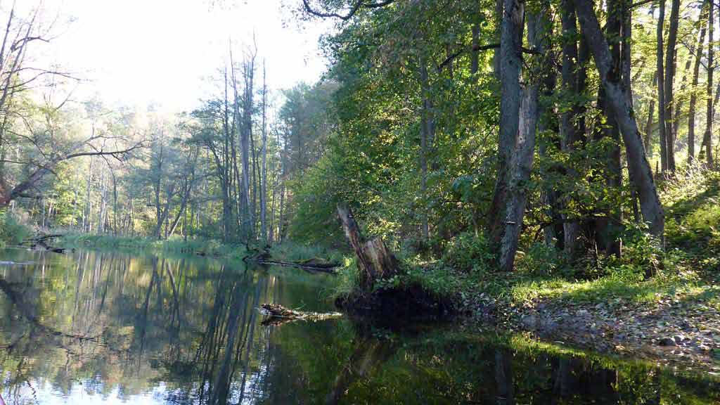 Szlak rzeki Krutynia - Krutynia Dolna Szlak rzeki Krutynia - Krutynia Dolna