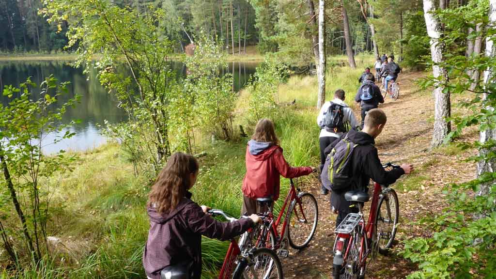 Turystyka Aktywna WODNIAK - Rezerwat Królewska Sosna - szkolna wycieczka rowerowa