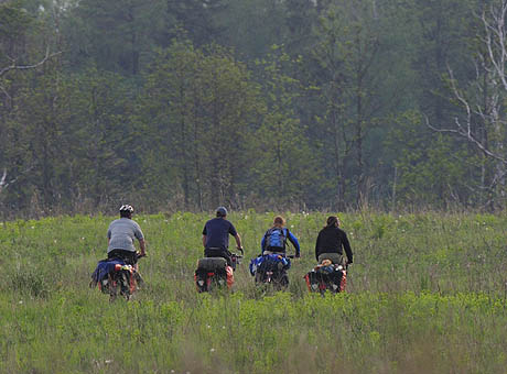 Wypożyczalni rowerów